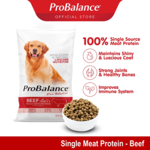 ProBalance